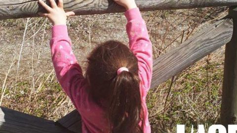 Bimba di spalle che poggia un sasso dipinto su una staccionata